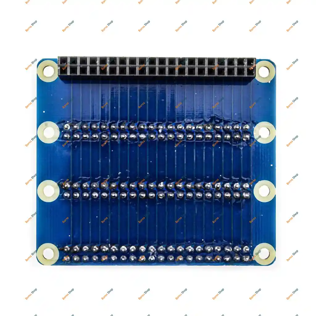 برد توسعه GPIO